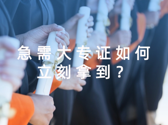 急需大专证