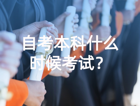 自考本科