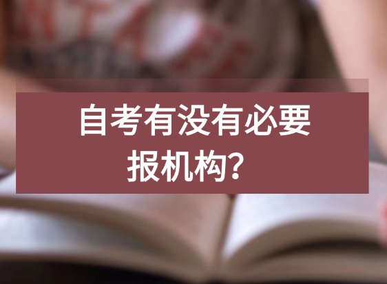 自考报机构