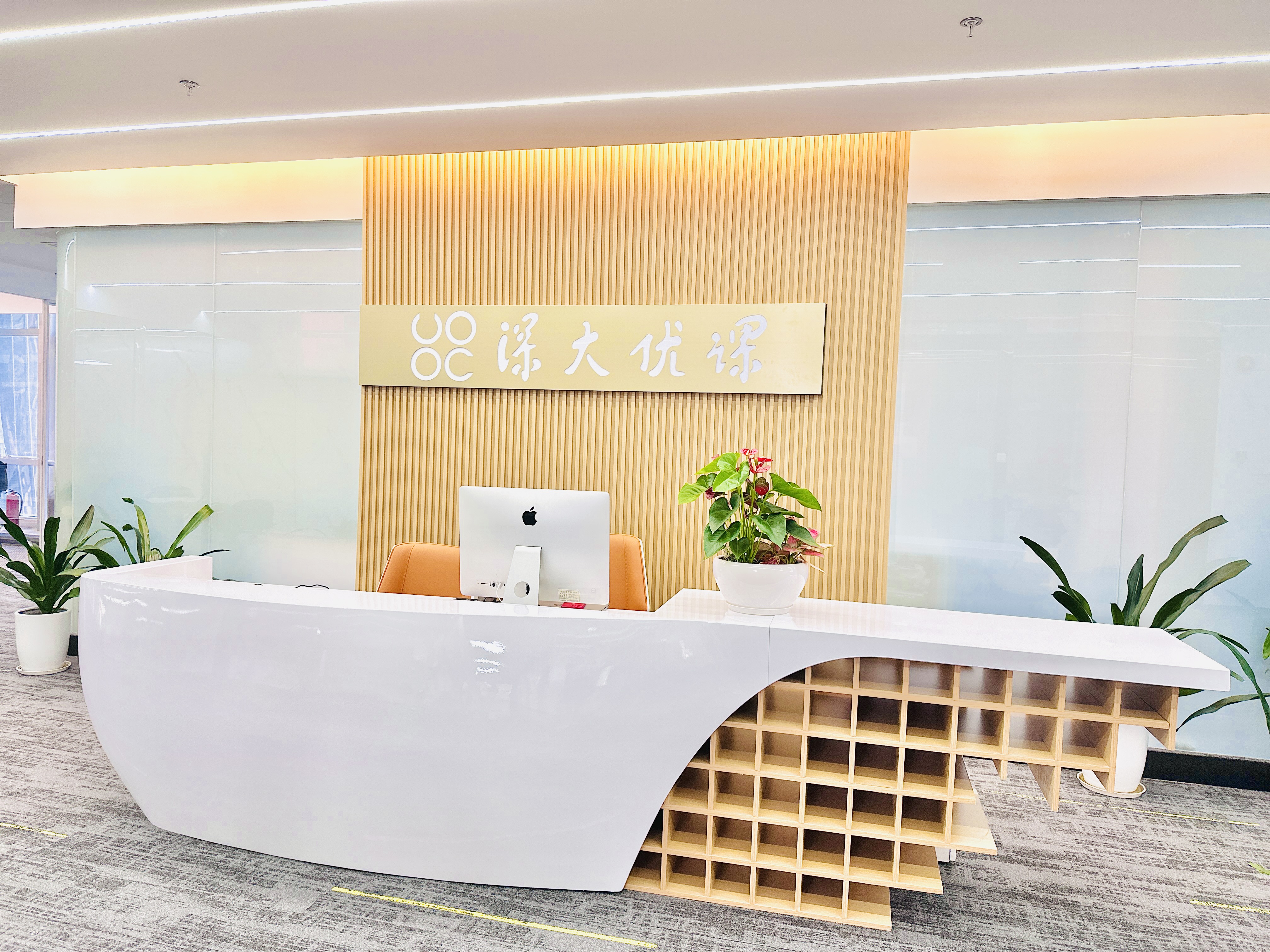 深大优课和深圳大学是什么关系